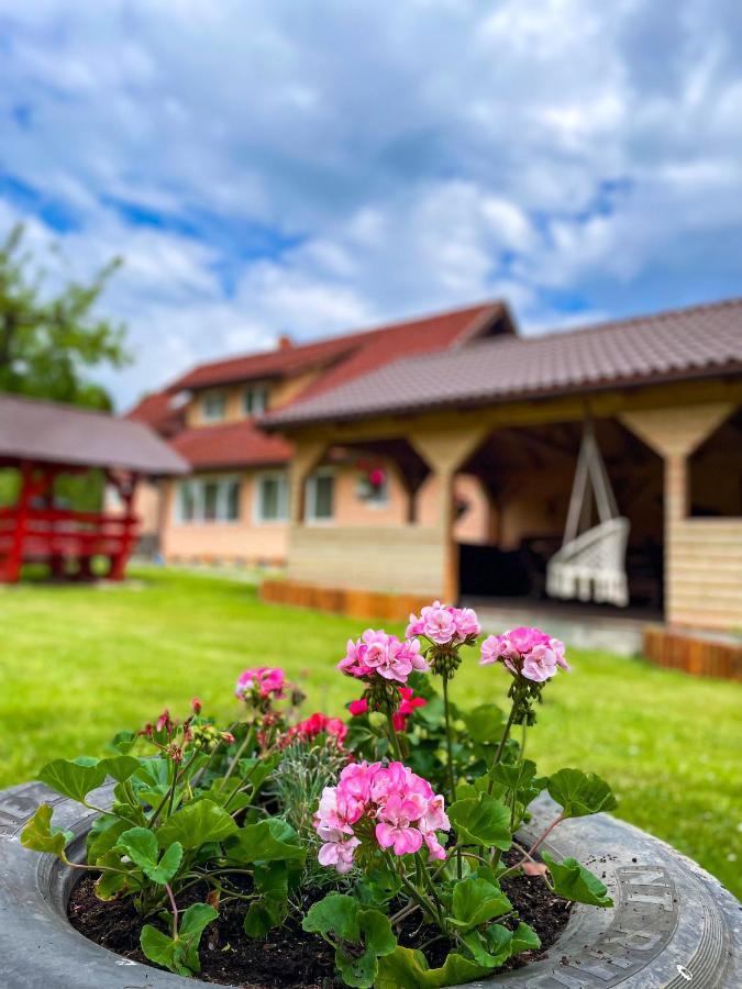 Vila Lilica Bran  Bagian luar foto